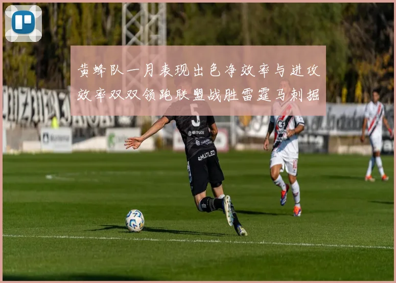 黄蜂队一月表现出色净效率与进攻效率双双领跑联盟战胜雷霆马刺掘金